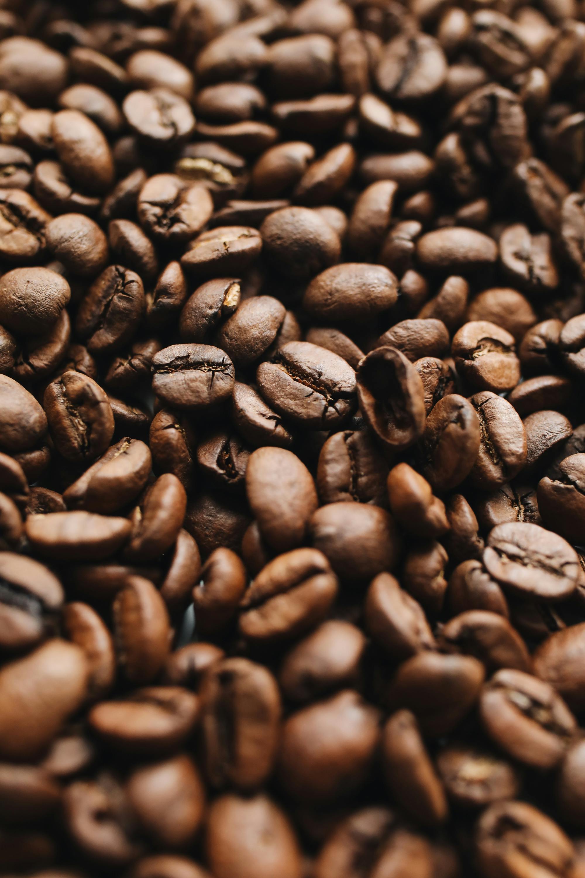 Arabica Coffee Beans